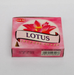 Lotus