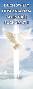 Baner na Boże Ciało "Duch Święty odsłania nam Tajemnicę Eucharystii" 75x200 cm