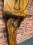 /environment/cache/images/300_300_productGfx_ba2a796f8849ecd81cda609391876192.jpg